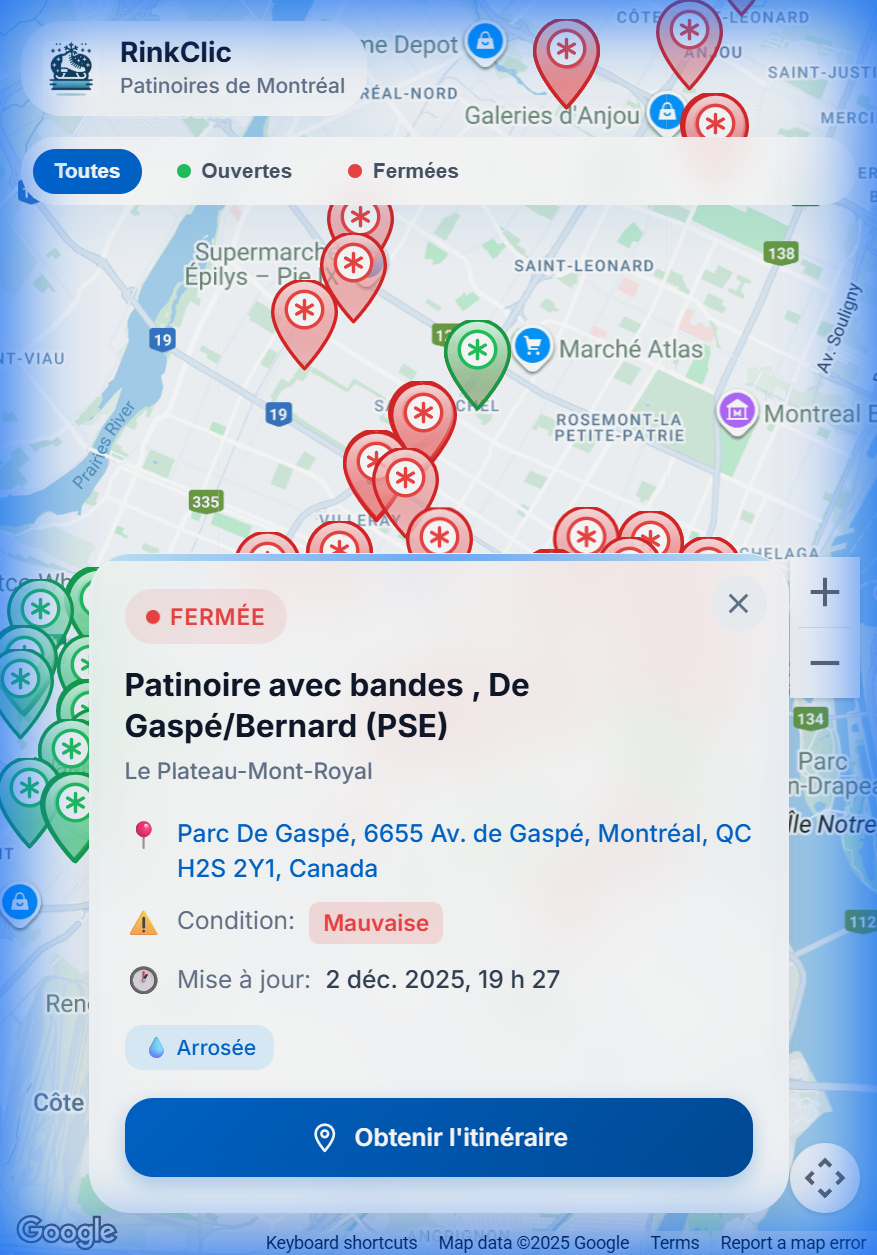 Fiche détaillée d'une patinoire